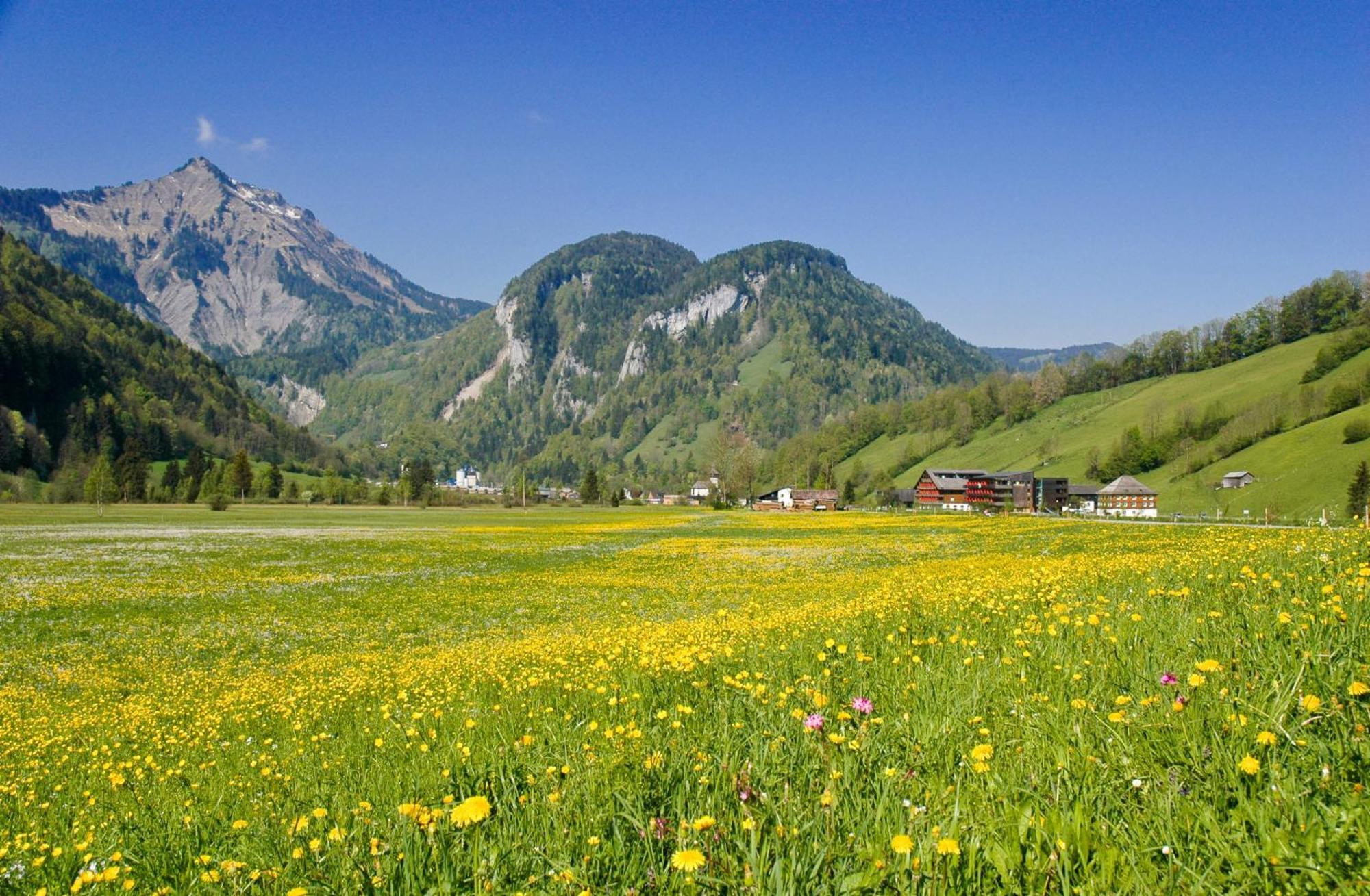 Gesundhotel Bad Reuthe Exteriör bild